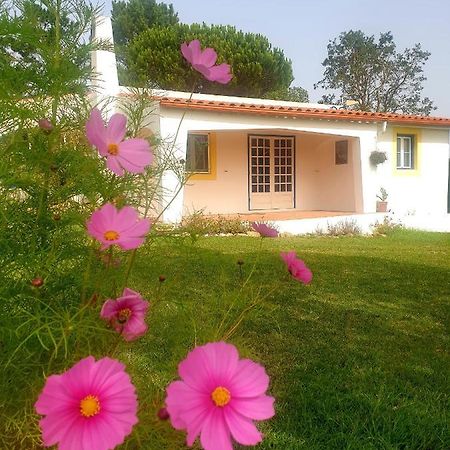 Villa Sondela Self Catering São Martinho do Porto Esterno foto