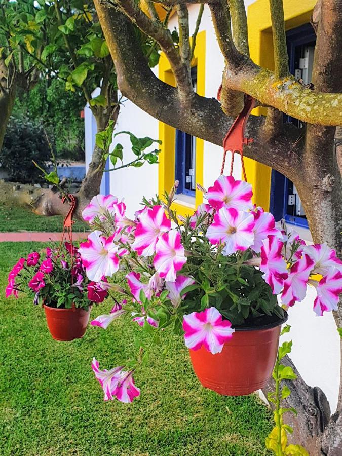 Villa Sondela Self Catering São Martinho do Porto Esterno foto