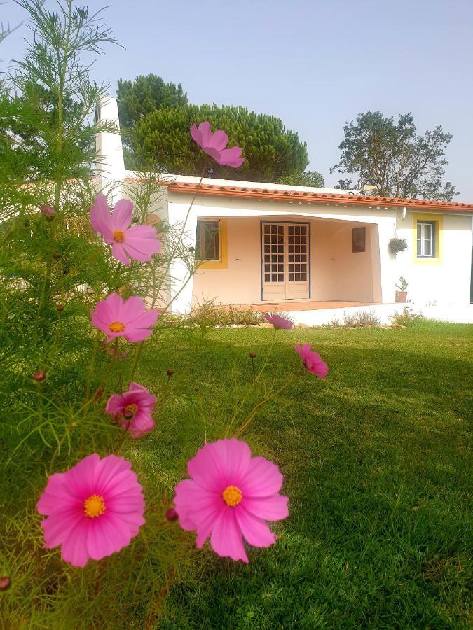 Villa Sondela Self Catering São Martinho do Porto Esterno foto