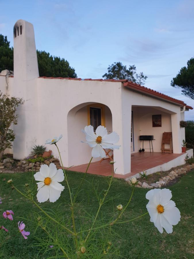 Villa Sondela Self Catering São Martinho do Porto Esterno foto