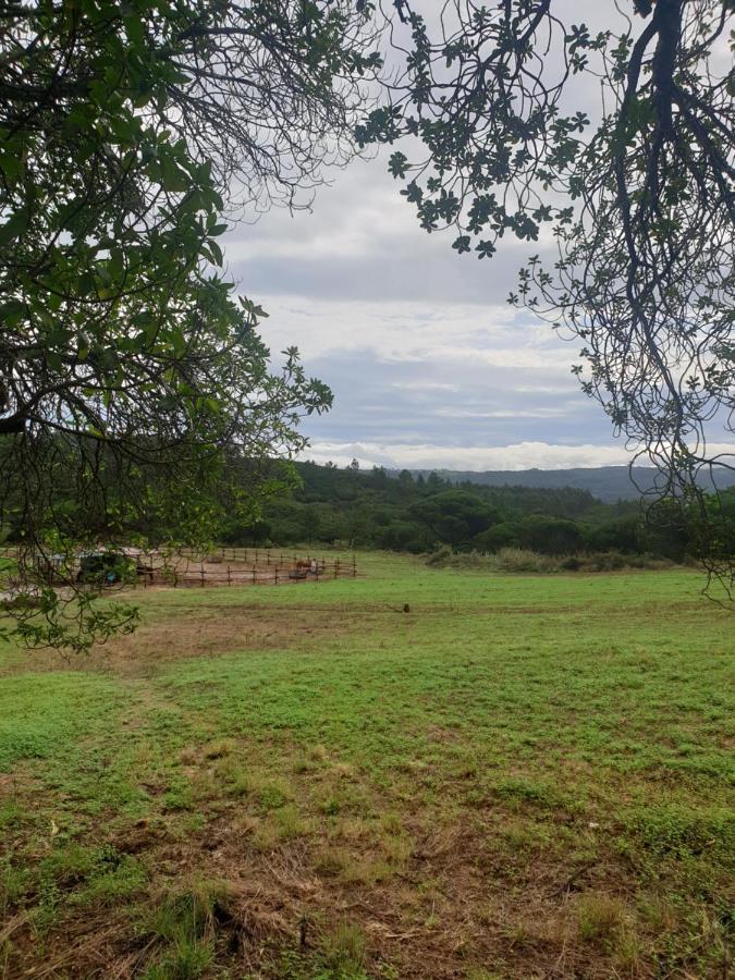 Villa Sondela Self Catering São Martinho do Porto Esterno foto
