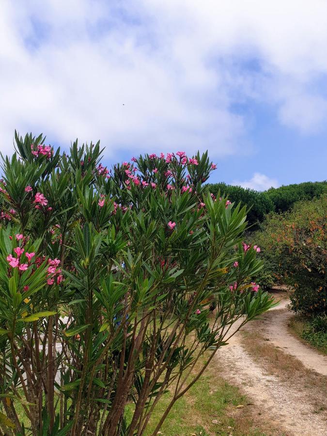 Villa Sondela Self Catering São Martinho do Porto Esterno foto