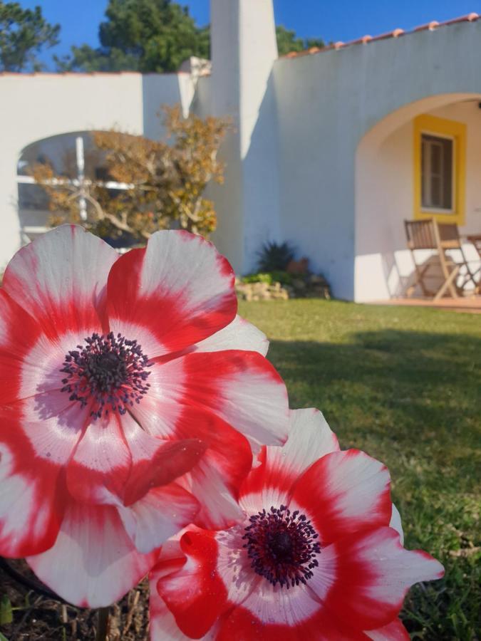 Villa Sondela Self Catering São Martinho do Porto Esterno foto