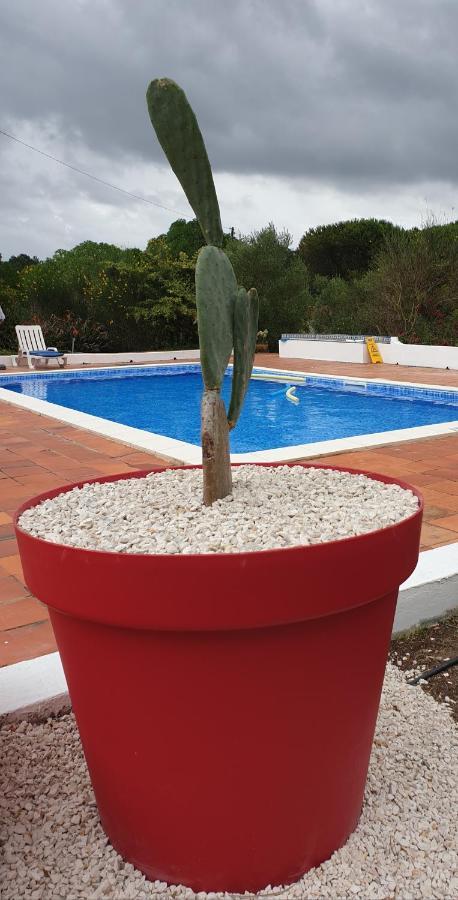 Villa Sondela Self Catering São Martinho do Porto Esterno foto